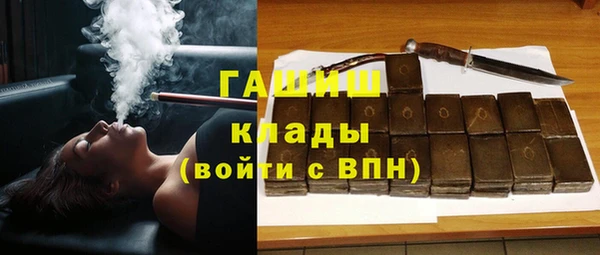 прущий лед Бородино