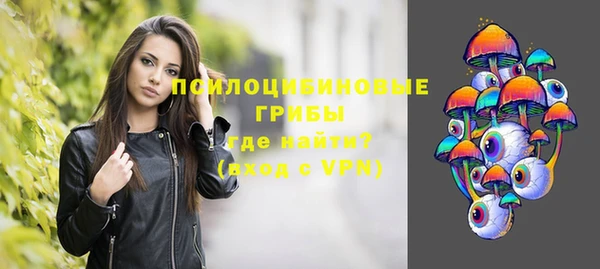 прущий лед Бородино