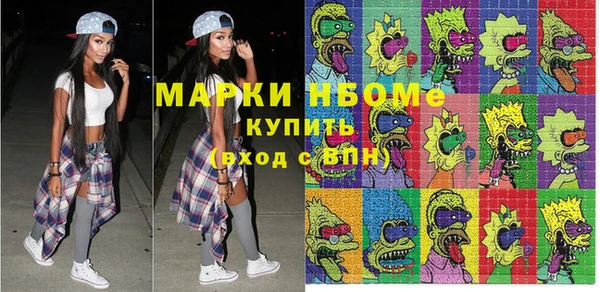 прущий лед Бородино