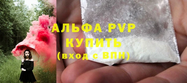 прущий лед Бородино