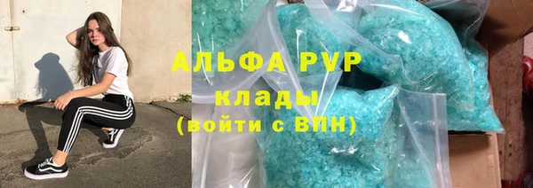 прущий лед Бородино
