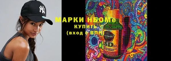 прущий лед Бородино