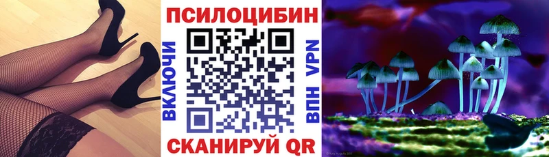 Купить где  Голицыно  Псилоцибиновые грибы Psilocybine cubensis 